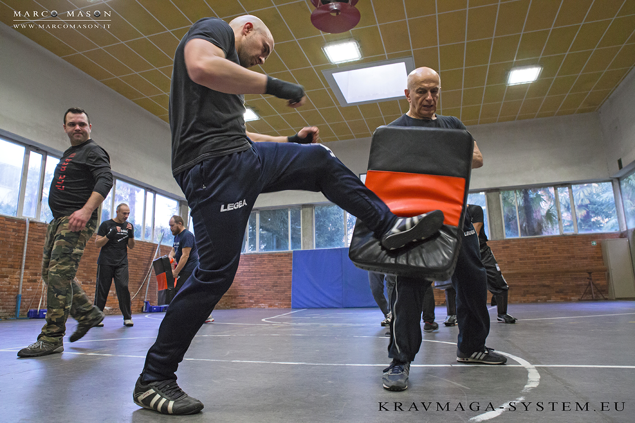 Krav Maga - Tattiche di combattimento