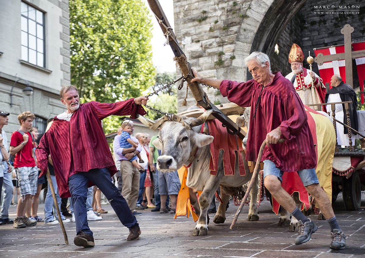 Palio del baradello 1