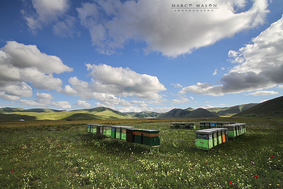 Castelluccio