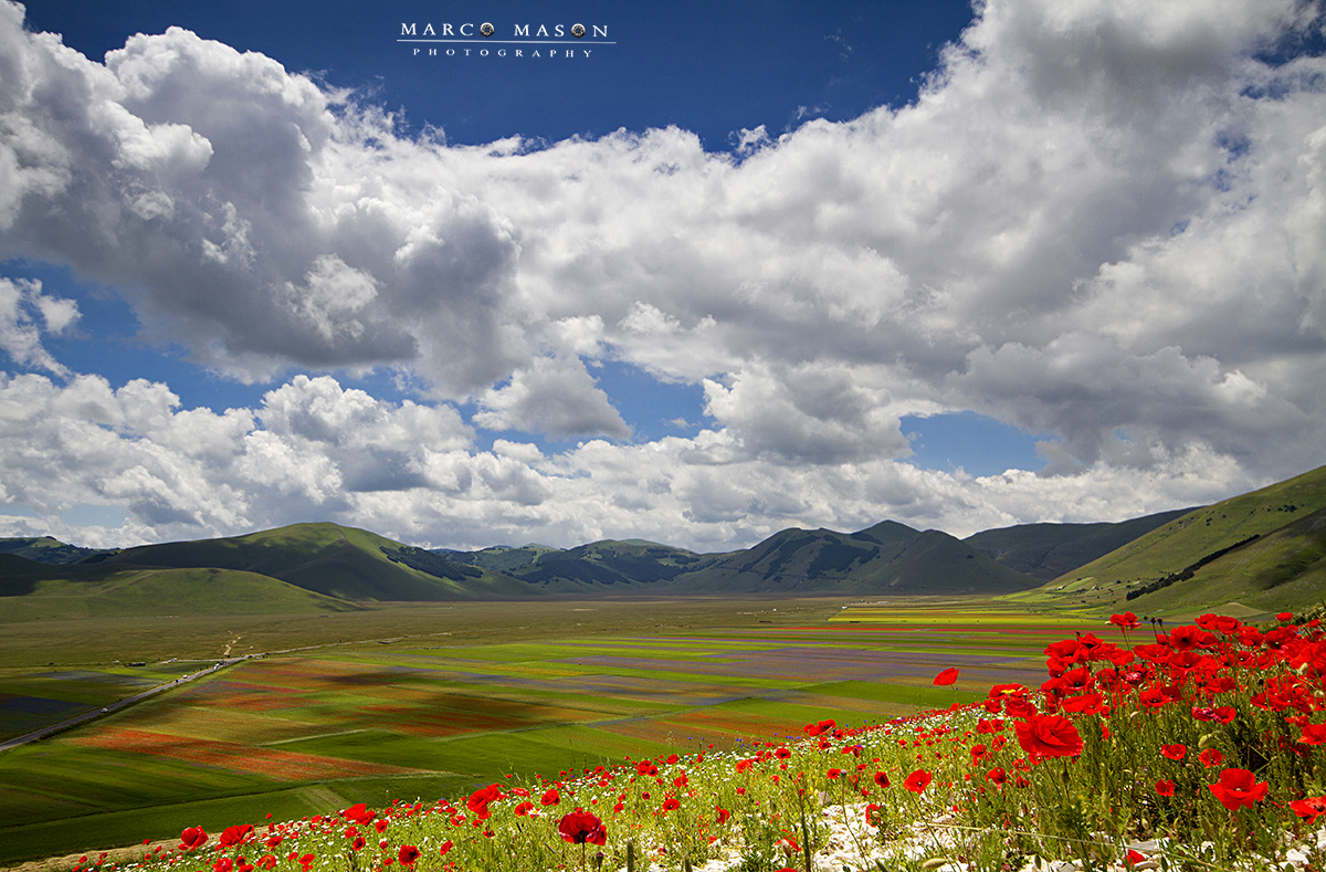 Castelluccio