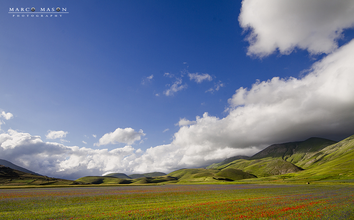 Castelluccio