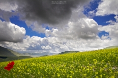 Castelluccio