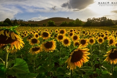 Toscana